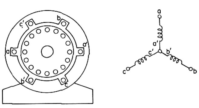 Three-Phase Induction Motor Showing Stator,Rotor,and Schematic Representation of Y-Connected Stator Winding.